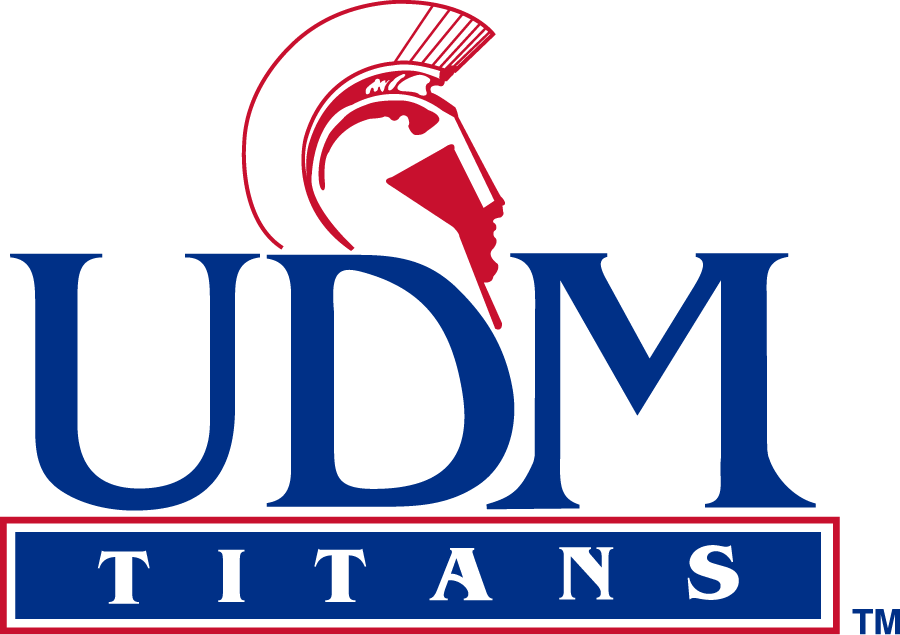 Detroit Mercy Titans 1993-2008 Primary Logo diy iron on heat transfer